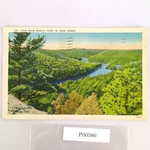 View from Seneca Point Cook Forest Pennsylvania 1940s Linen Postcard PA PC
